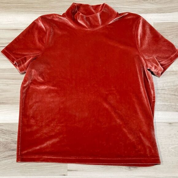 Madewell Velvet Rust Short Sleeve Top Women’s Small - Picture 2 of 3